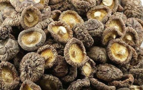 貯存干香菇注意哪些方面